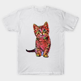 Cute Colorful Cat T-Shirt